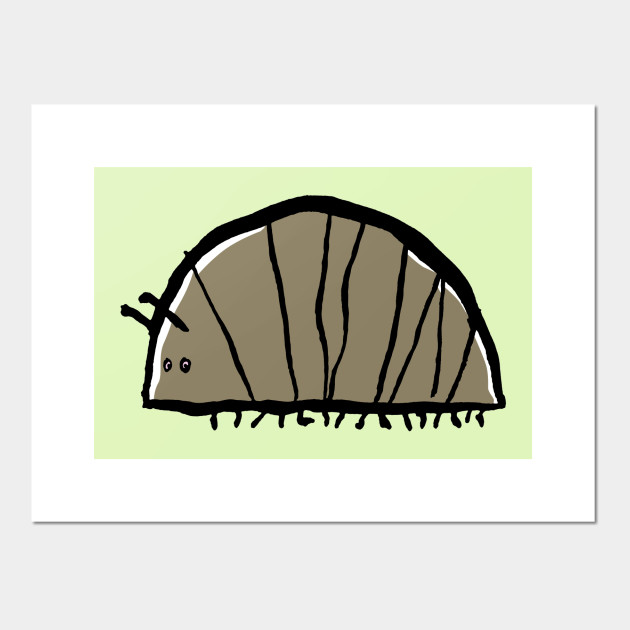 woodlouse